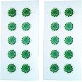 Green Succulent Sheet of 10 Global USPS First Class International Forever Postage Stamps (2)