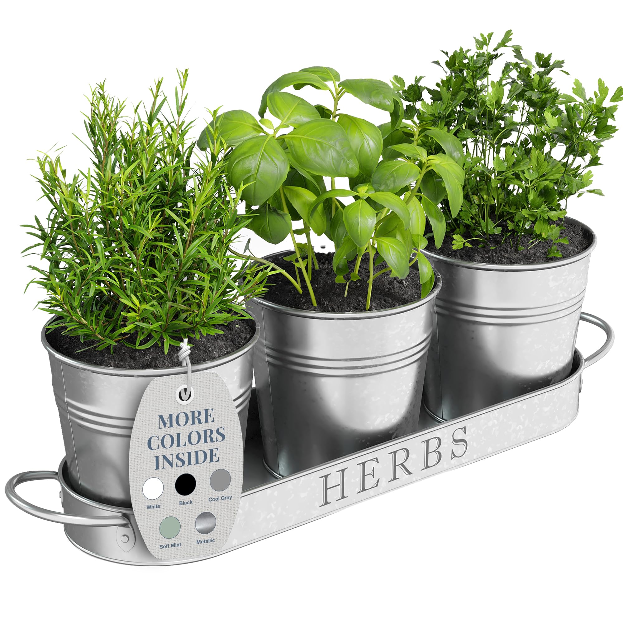 Barnyard Designs Herb Pot Planter Set with Tray for Indoor Garden or Outdoor Use, Decorative Galvanized Metal Succulent Potted Planters for Kitchen, (Set of 3, 11 x 10cm Planters on 32 x 10cm)