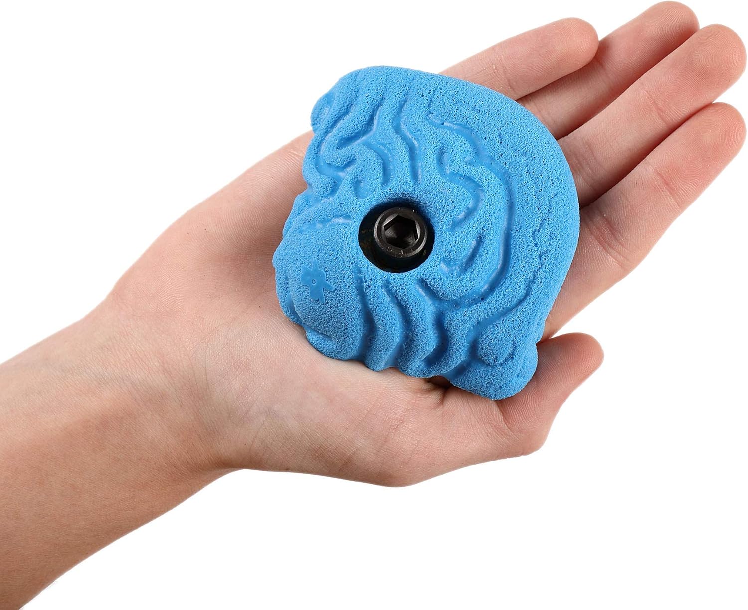 Atomik Rock Climbing Holds Set of 12 Bolt-On Steep Wall Brain Coral Crimps in Blue : Sports & Outdoors