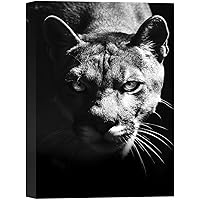 SIGNWIN Canvas Wall Art Headshot of a Black Panther Tiger Animals Wildlife Photography Modern Art Traditional Portrait Dramatic Black and White for Living Room, Bedroom, Office - 12x18 inches