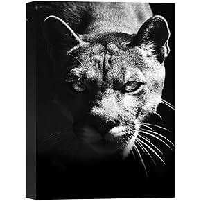 SIGNWIN Canvas Wall Art Headshot of a Black...