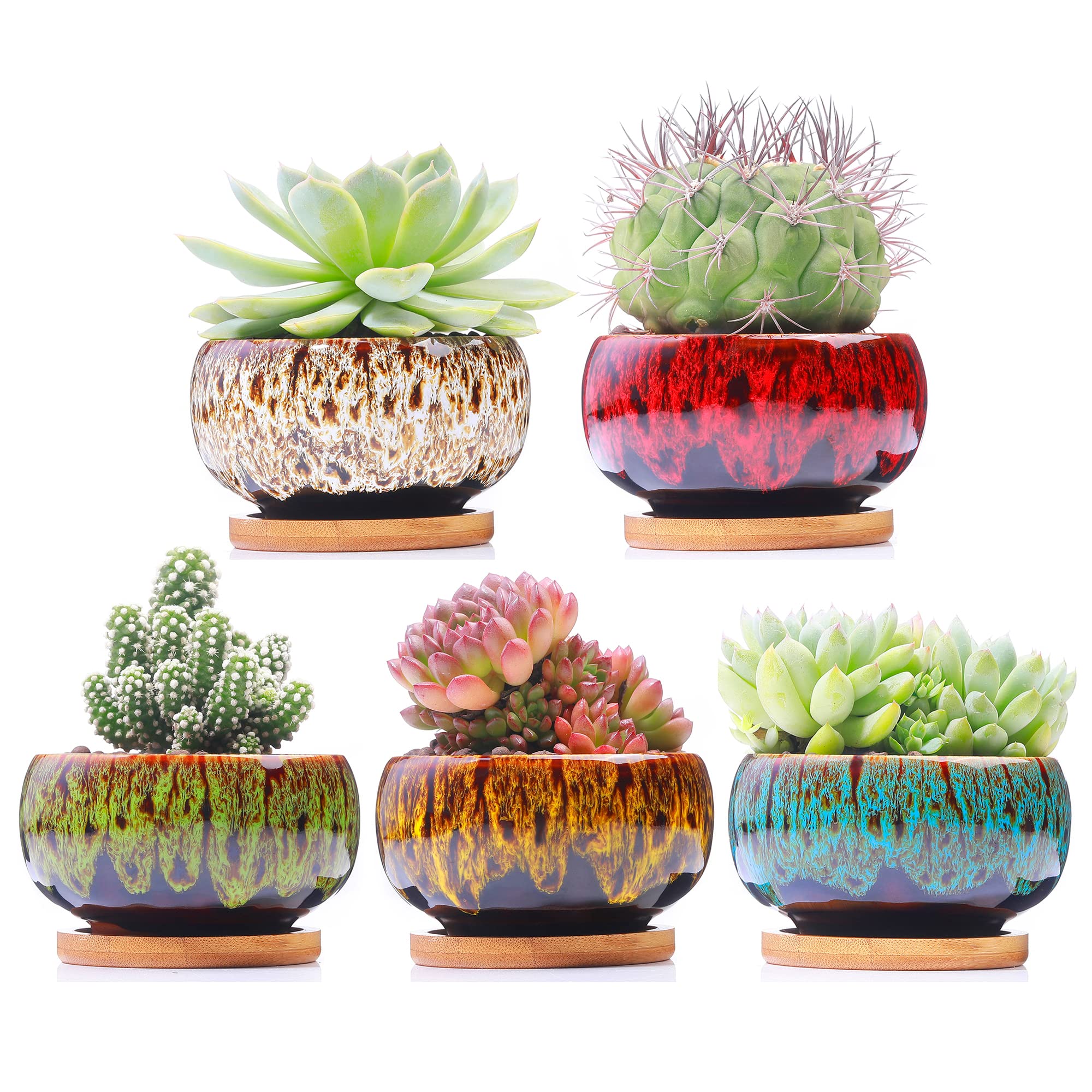 Photo 1 of LamDawn Cute Ceramic Succulent Garden Pots, Planter with Drainage and Attached Saucer, Set of 5 -Plants Not Included (Round)
