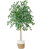 Artificial Ficus Tree, 6Ft Tall Fake Ficus Plant with White Pot,Silk Tree with Adjustable Realistic Branches and Leaves, Green All Season Long ,Faux Plant for Indoor Outdoor& House Decor