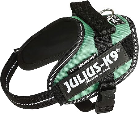 julius k9 harness mini mini