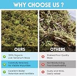 Riare 200g Natural Sphagnum Moss for Reptile Terrarium Bedding view 5
