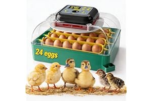 24 Egg Incubator with Automatic Egg Turning and Humidity Display, Digital Poultry Hatcher with Egg Candler, Professional Incu