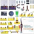 Teenii STEM Physics Science Lab Basic Circuit Learning Starter Kit Electricity and Magnetism Experiment for Kids Junior Senior High School Students Electromagnetism Elementary Electronics LERBOR
