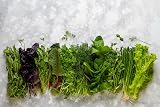 HERBAL AGE Mixed Herb Seeds Box 200+ Seeds Grow Your Own Kitchen Garden view 8
