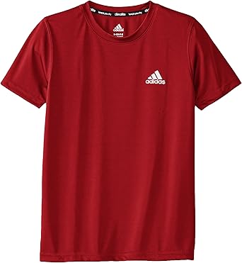childrens adidas shorts and shirt