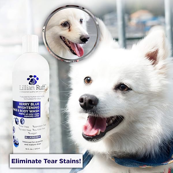 LILLIAN RUFF BERRY BLUE BRIGHTENING FACE AND BODY WASH FOR DOGS – BLUEBERRY SHAMPOO – REMOVE TEAR STAINS, HYDRATE DRY ITCHY SKIN, ADD SHINE & LUSTER TO COATS (BERRY BLUE SHAMPOO 16OZ)