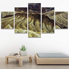 SIGNWIN 5 Panel Canvas Wall Art Modern Art...