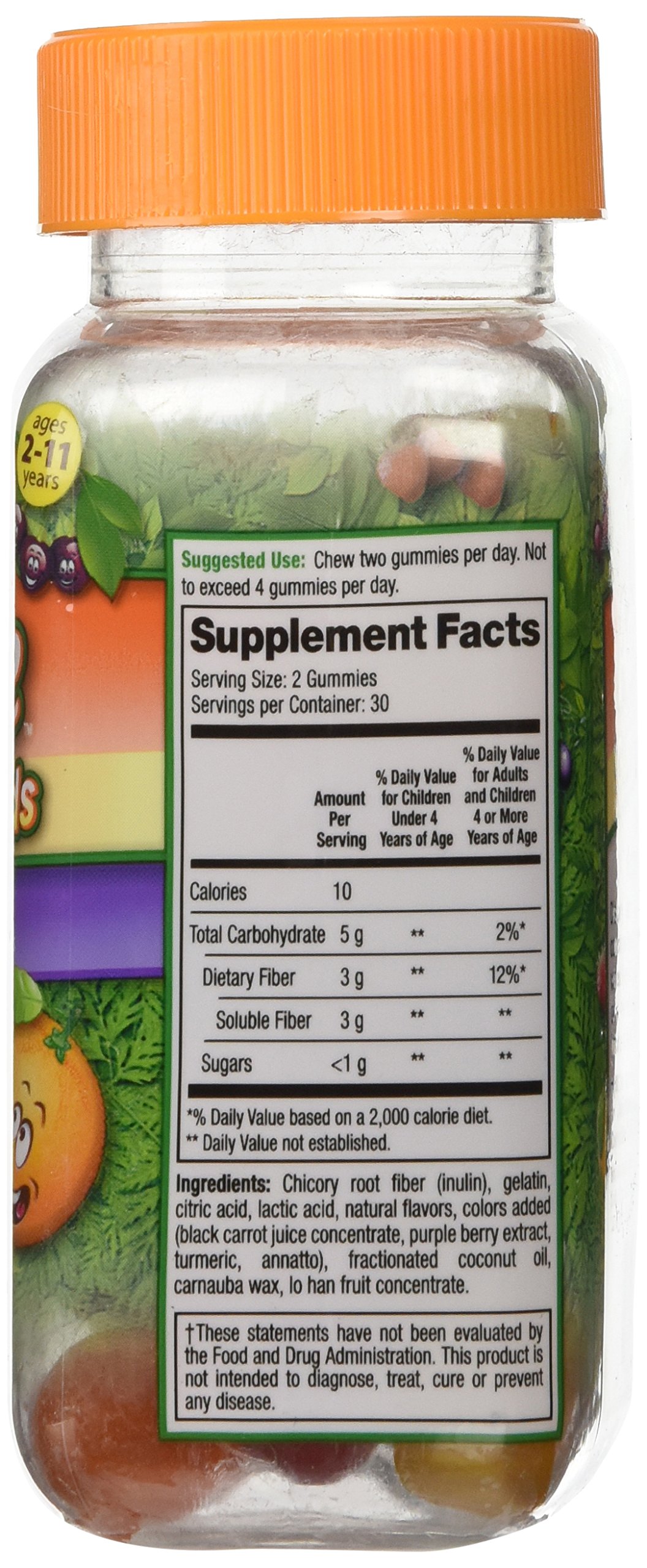 Fiber Advance Gummies For Kids Daily Fiber Supplement, 60 Count on ...