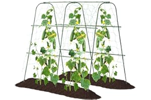 FOLLOOK Garden Cucumber Trellis for Climbing Plants Outdoor, 48x48inch U-Shape Arch Trellis for Garden Raised Bed, Plant Support for Grape Vine Tomato Vegetable Pea Bean, Green