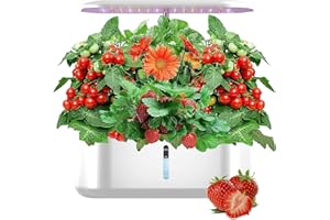 HONCHE Watch-it-Grow 10 pods Hydroponics Growing System with Herb Germination Kits FCC CE ROHS Certified, 24W Full Spectrum Grow Lights Indoor Garden, Installation Free Educational Science Kit for Teens