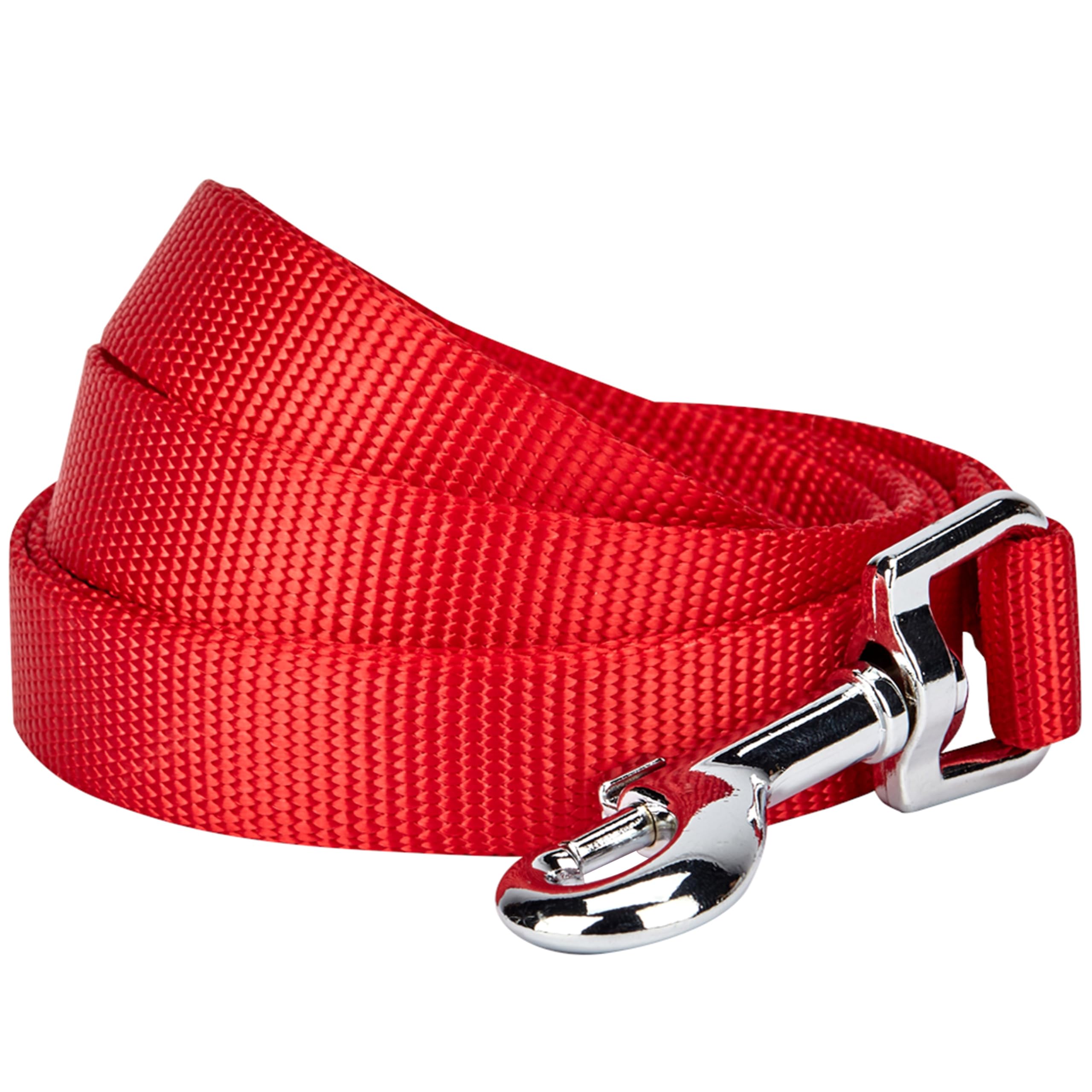 Blueberry Pet Durable Classic Solid Color Dog Lead 150 cm x 1cm for Puppy in Rouge Red, X-Small
