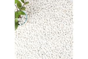 Anothera 18-lb Bulk Bag White Pebbles 1/2" Size Aquarium Gravel Outdoor Garden Paving Plant Decorative Stones…