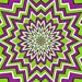 Motion Illusions
