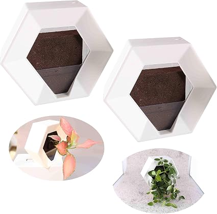 Amazon Com Wall Planters For Indoor Plants 2 Pack White Diy Vertical Wall Planters Flower Pots Hexagon Lightweight Hanging Planters Plants Decorative Kitchen Dining