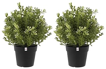 Fun Homes Mini Plastic Potted Plants for Home Office Decoration, Plastic Plant with Black Plastic Pots, Fake Plant for Bathroom D