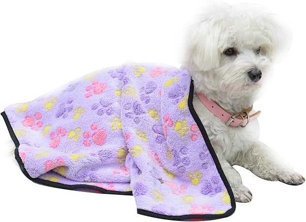 amazon puppy blanket