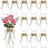 TAOZIMA Small Plastic Vases for Fowers, Mason Jars for Centerpieces, Transparent Tall Cylinder Hyacinth Avocado Growing White Bud Vases in Bulk for Wedding Table Decorations (12pcs)