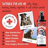BUGALUGS Cat Wound & Skin Antiseptic spray 200ml - Hypochlorous Acid view 8