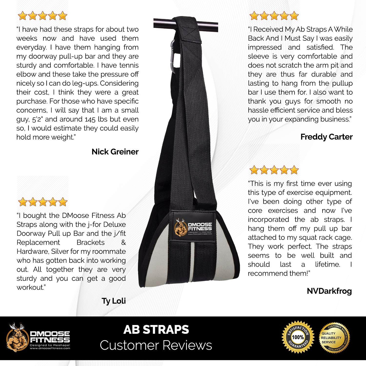 DMoose Fitness Hanging Ab Straps for Abdominal Muscle Building and Core Strength Training, Arm Support for Ab Workouts, Padded Gym Equipment for Men and Women : Sports & Outdoors