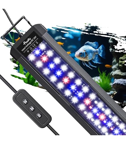 Amazon.com : Mayin Arowana Tanning Light Aquarium Special Color