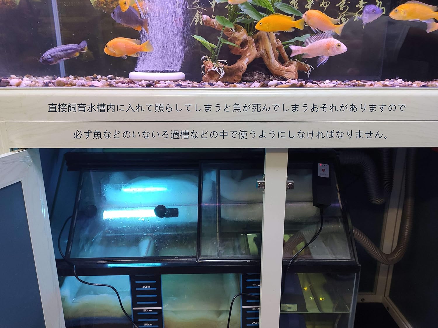 Amazon 水槽用uv殺菌灯 タイマー付き 紫外線除菌ライト 水槽用 水中殺菌灯 淡水 海水両用 コケ抑止 アクアリウム水質改善 白点病などの病気予防 適合水量80 350l 紫外線殺菌灯 11w 110ｖ 50hz 60hz 防水機能付き 省エネ 低消費電力 Hx Heclx