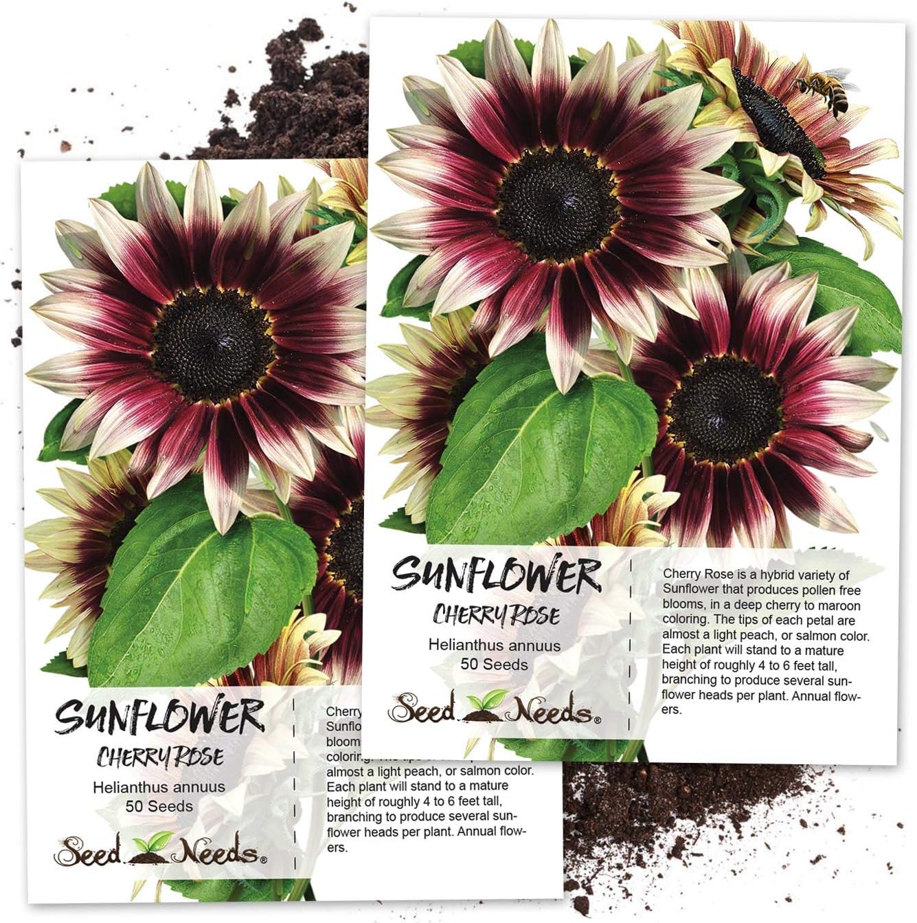 Amazon Com Seed Needs Cherry Rose Sunflower Helianthus Annuus