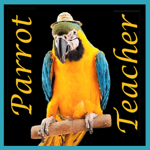 Parrot Teacher - Thumbnail 5