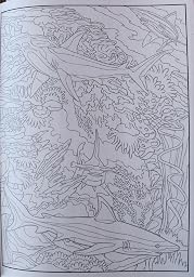 Creative Haven Sea Life Color by Number Coloring Book (Adult Coloring