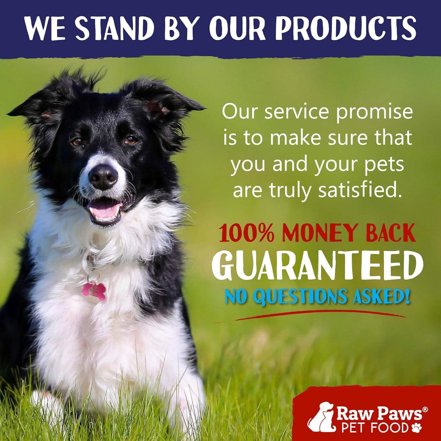 rawhide rings for dogs