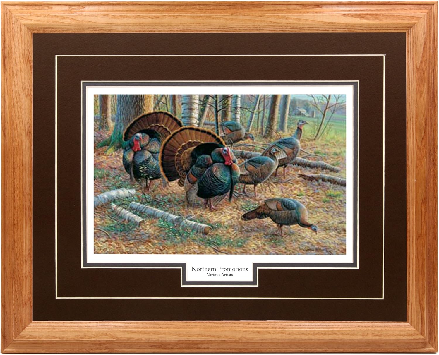 NothernPromotionsLLC Spring Strut Wall Art Decoration, Hardwood Picture Frame - Wildlife Print Painting Decor - Light Oak Frame, Brown Mat - Ready to Hang - Turkey Feeding Cynthia Fisher 17x21