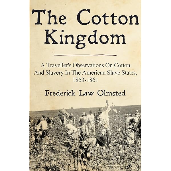 Amazon Com Ar N T I A Woman Female Slaves In The Plantation South Revised Edition Ebook White Deborah Gray Kindle Store