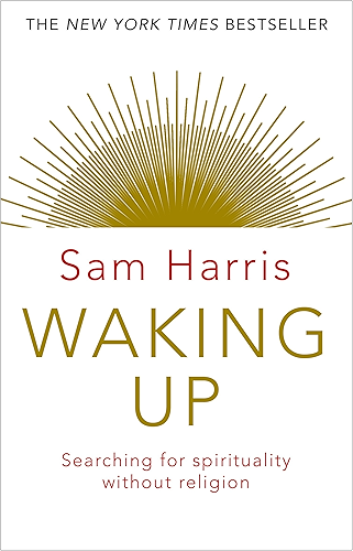 Download Waking Up: Searching for Spirituality Without Religion (English Edition) PDF