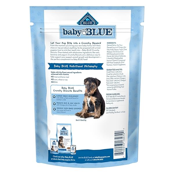 BLUE BUFFALO BABY BLUE CRUNCHY BISCUITS WITH DHA, CRUNCHY DOG TREATS FOR PUPPIES, MADE WITH NATURAL INGREDIENTS, OATMEAL & BANANA, 8-OZ BAG