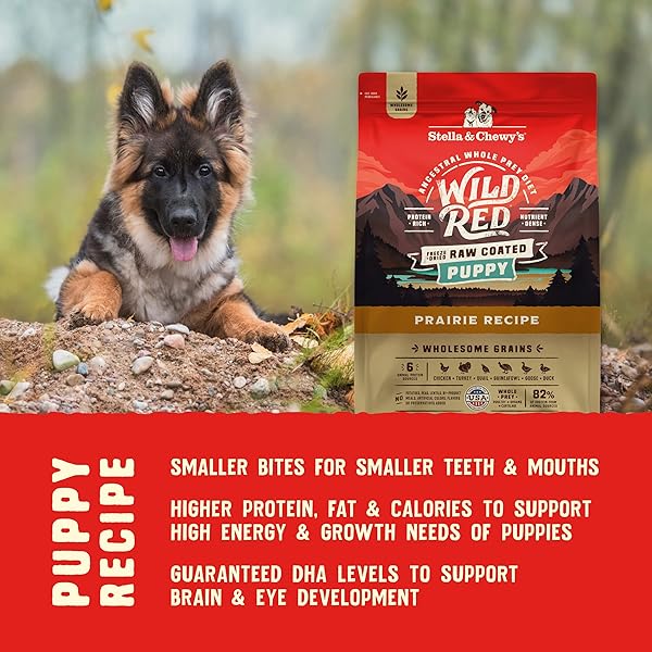 STELLA & CHEWY’S WILD RED DRY DOG FOOD RAW COATED HIGH PROTEIN WHOLESOME GRAINS PUPPY PRAIRIE RECIPE, 3.5 LB. BAG