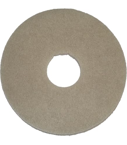 3M 60 Grit Sanding Screen Discs, Brown, 16XNH - Open Mesh For Minimal Clogging (Pack Of 12)