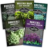 Broccoli Seeds for Planting &ndash; 5 Varieties - Survival Garden Seeds | Heirloom Broccoli Collection with Classic Green, Purple Sprouting, &amp; Raab Varieties &ndash; For Cool Season Spring &amp; Fall Gardens