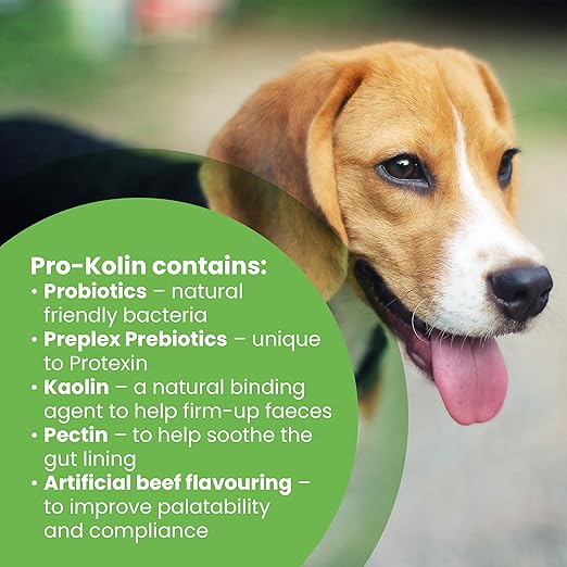 pro kolin side effects in dogs