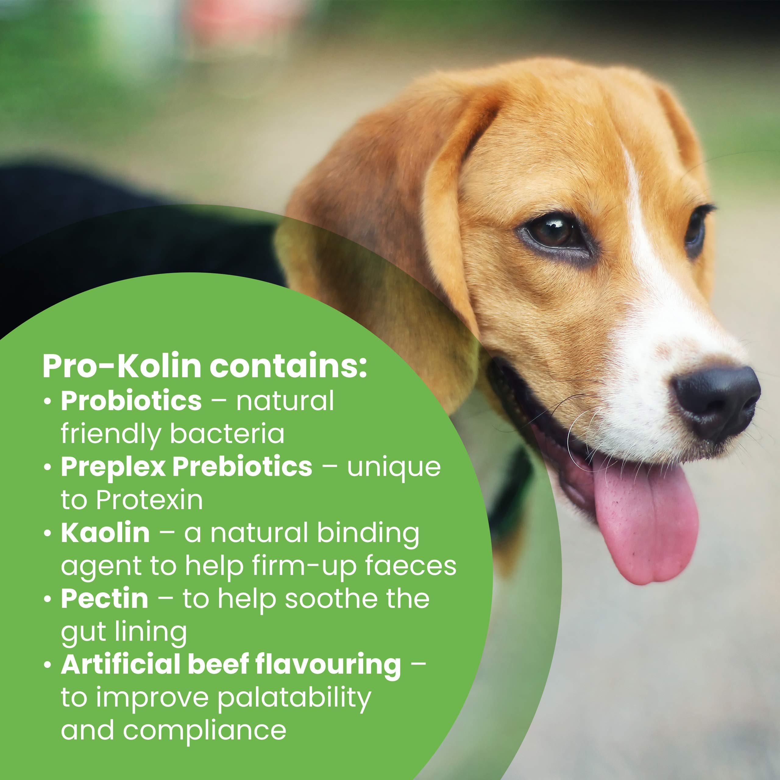 ProKolin for dogs and catsProbiotic paste to support the gut 30ml