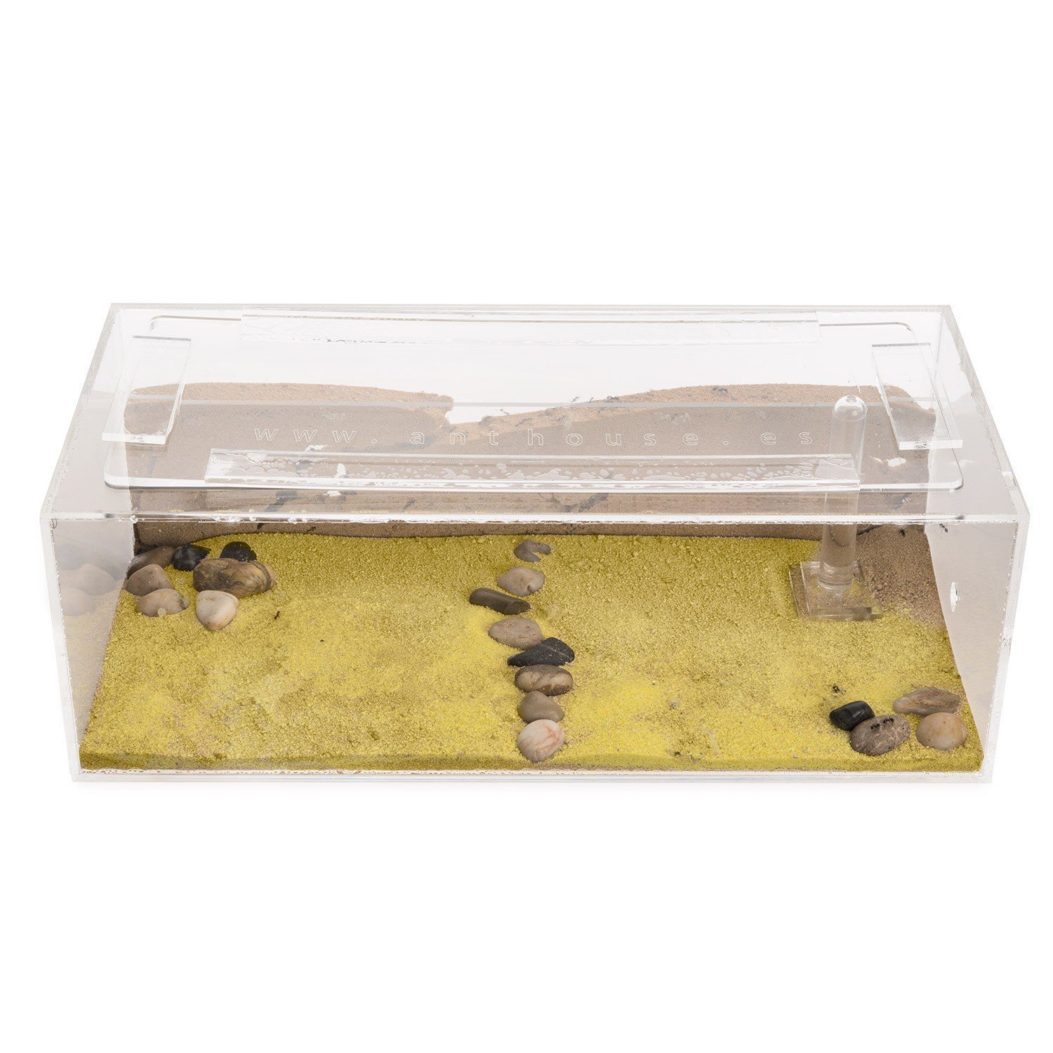 Sand Ant Farm BIG - Anthill, Formicarium, Educational, Ants -
