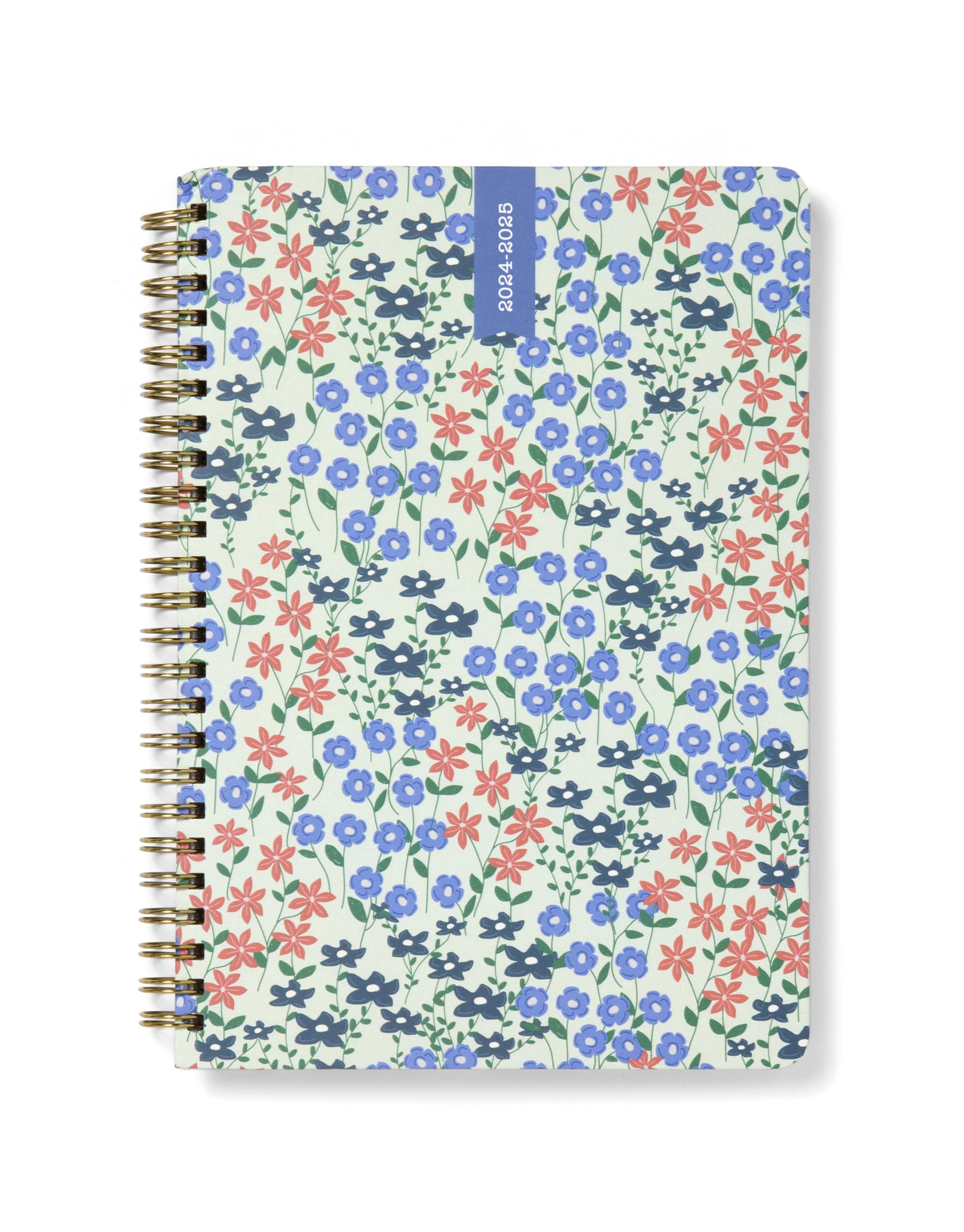 Letts of London Spring Valley A5 Academic 2024/2025 18-month week to view diary - mint