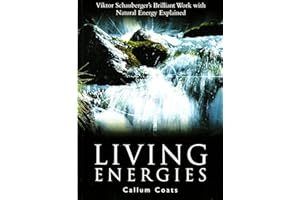 Living Energies: Viktor Scahuberger's Brilliant Work with Natural Energy Explained