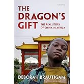 The Dragon's Gift: The Real Story of China in Africa