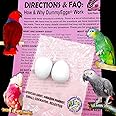 Medium Parrot Dummy Plastic Eggs Control Laying (2)! 1.5" x 1.25" (3.7 x 3cm) Non-Toxic Solid Plastic Fake Dummy Bird Eggs African Grey, Eclectus, Azn, Small Cockatoo or Macaw. Ship Fast!
