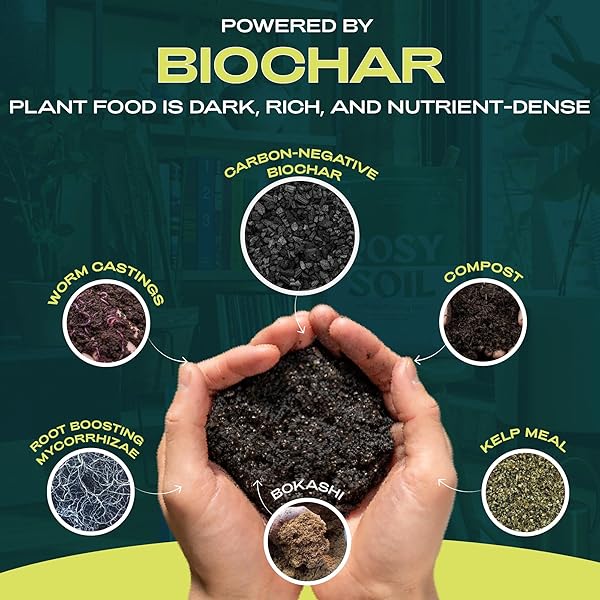 ROSY SOIL PLANT FOOD – MICROBIALLY ACTIVE FERTILIZER FOR HOUSEPLANTS, HERBS, FLOWERS – ENRICHED WITH BIOCHAR, KELP, AND WORM CASTINGS – ORGANIC FOOD FOR HEALTHY GROWTH – 2 QUARTS