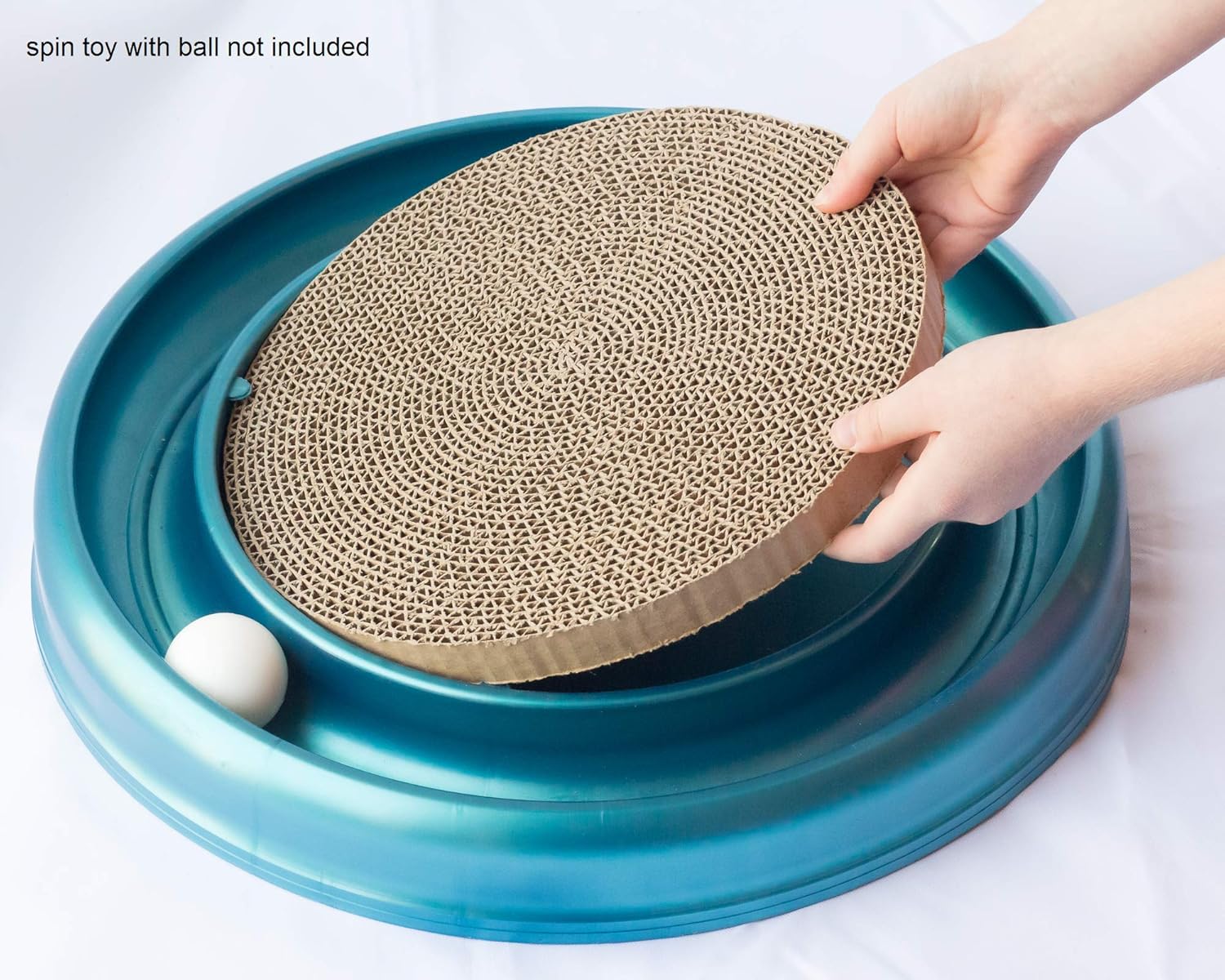 pet supplies for cats