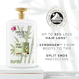 Pantene Pro-V Miracles Grow Strong Conditioner with Biotin 1L Pump view 4